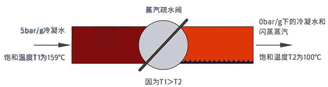 香港内部六宝典资料